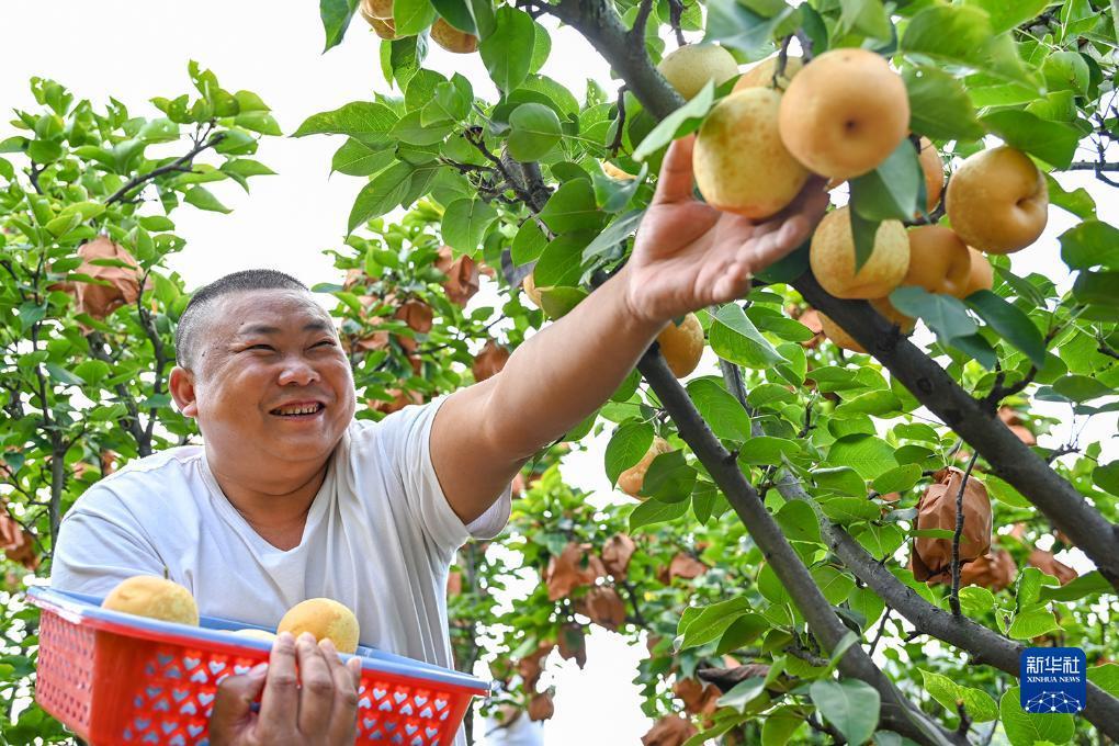 上线送充值卡